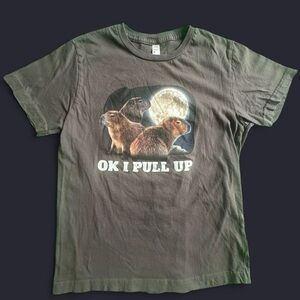 Kids capybara t shirt, EUC, brown khaki, size L (kids 10)